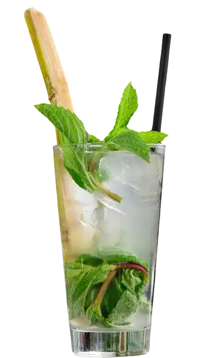 Mojito